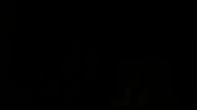 turkishTransEfsun webcam