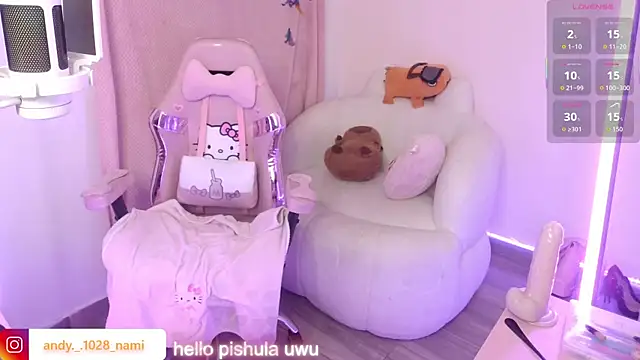 Nami_usagi webcam