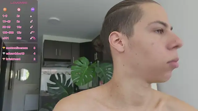 grey___27 webcam