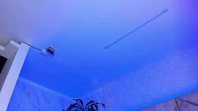 DickGriffith_ webcam