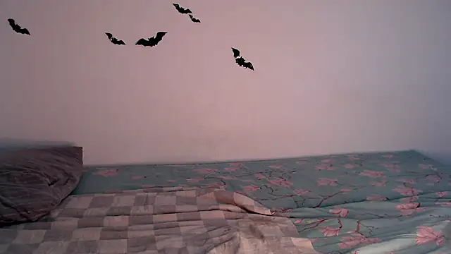 litle_owl webcam