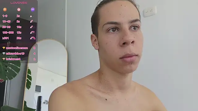 grey___27 webcam