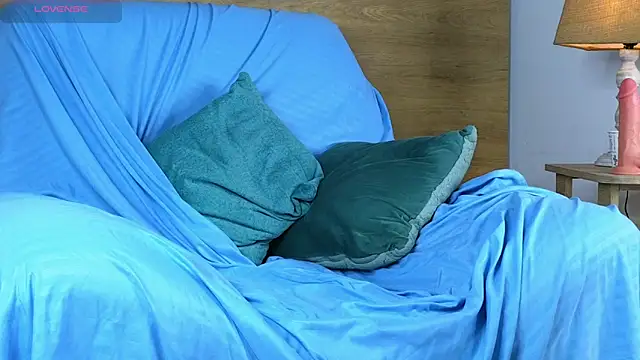 Stiven_Benet_ webcam