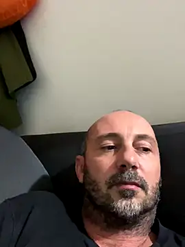 cateodo webcam