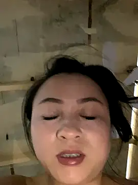 bobo-bobo webcam