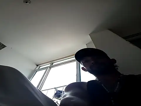 Kingbigcock23cm