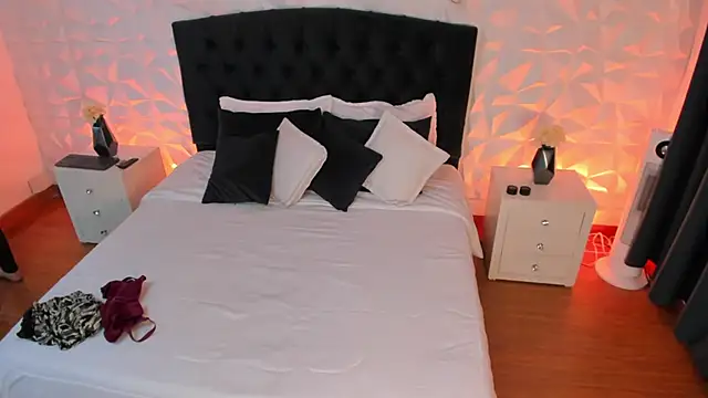 VeroHands webcam