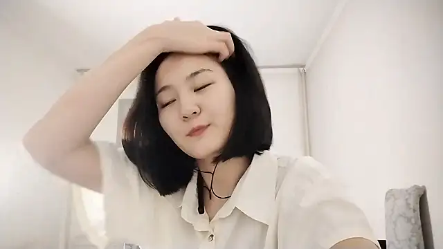 Lyndasilk webcam