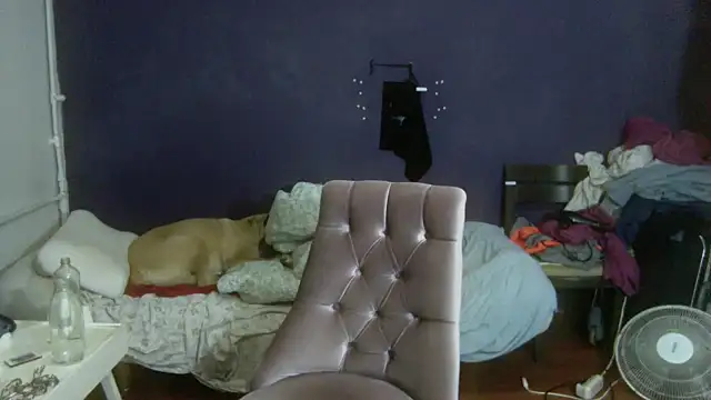 turkishTransEfsun webcam