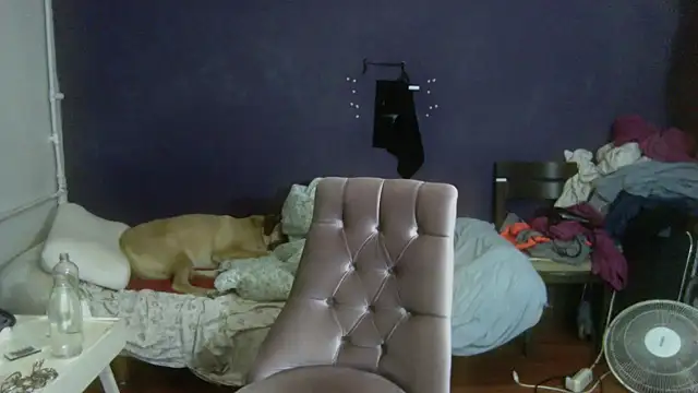 turkishTransEfsun webcam