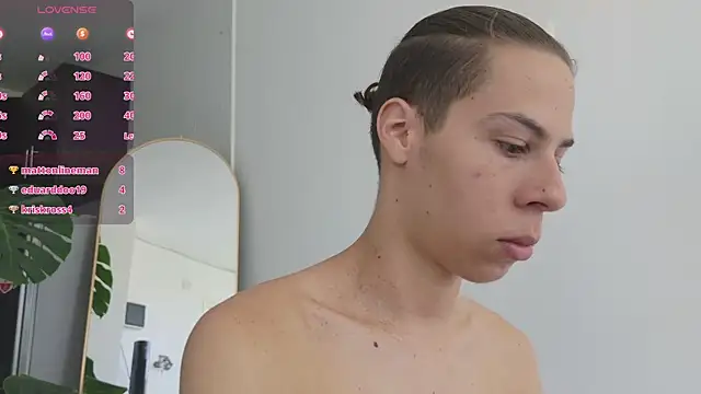 grey___27 webcam