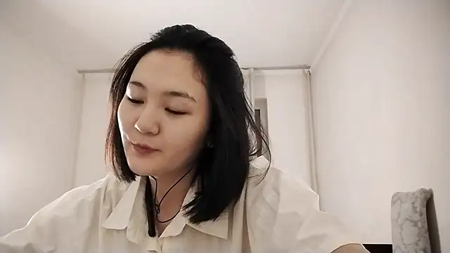 Lyndasilk webcam