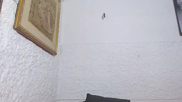 venus_lov9 webcam