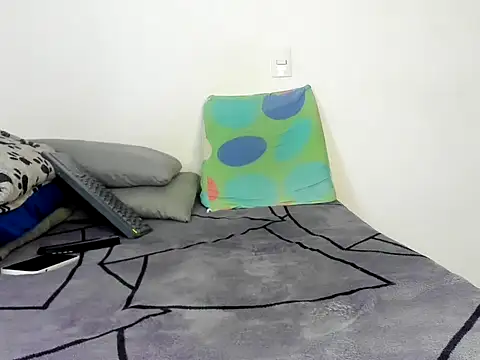 Master_Leonardo webcam