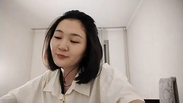 Lyndasilk webcam