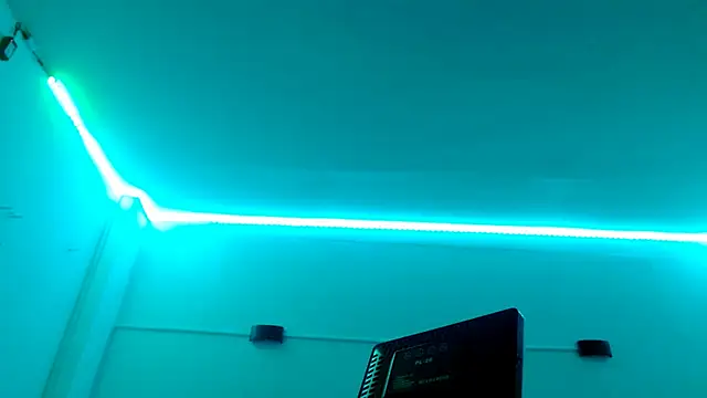 Br4ndxpimm webcam