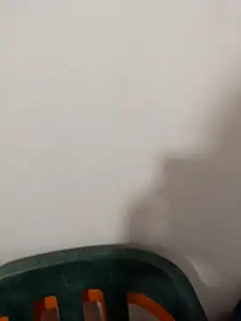 anitotori webcam