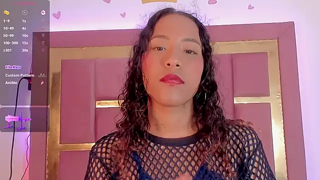 AikoSnow webcam