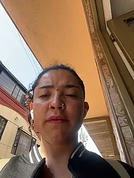 Paris_11 webcam