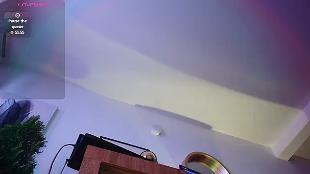 josemeirelesfox webcam