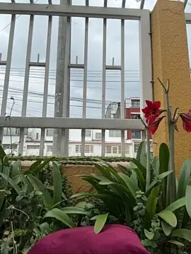 Scarlett_fiire webcam