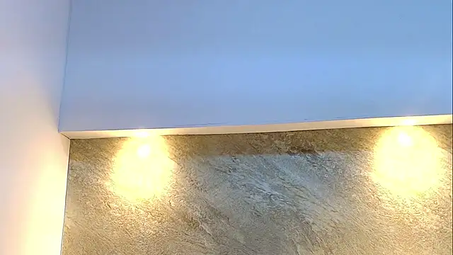 Dixie_grey1 webcam