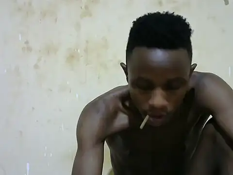 swthairydic webcam