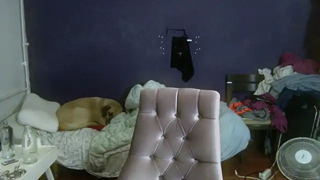 turkishTransEfsun webcam