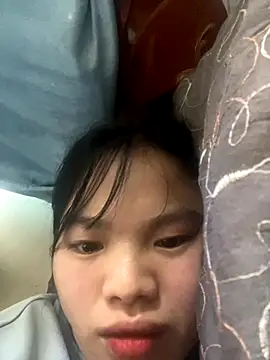 Han20252 webcam