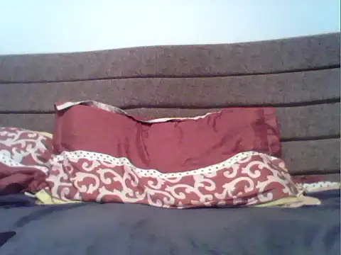 parshivu webcam