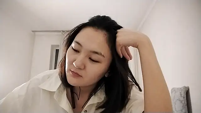Lyndasilk webcam