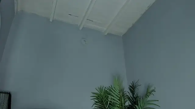 Swt_skinny_ webcam