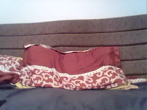 parshivu webcam