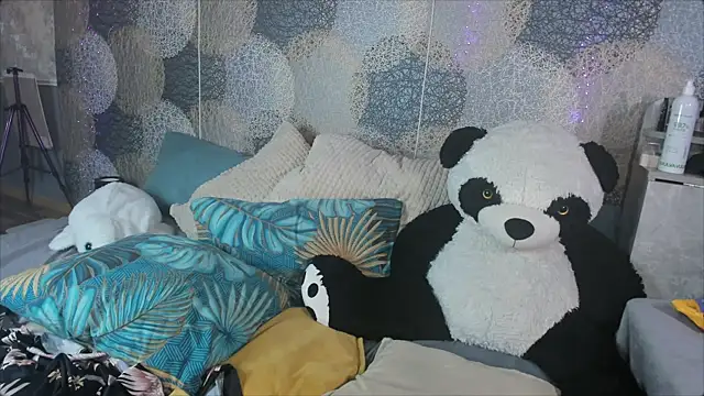 RinDragon webcam