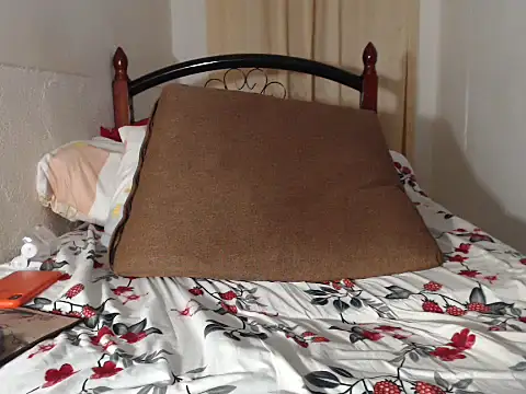 applewetdream webcam
