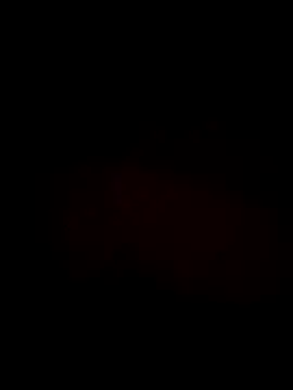 Lawrence067 webcam