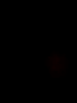 Lawrence067 webcam