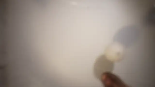 HeyBananas webcam
