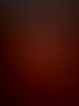 loiracps webcam