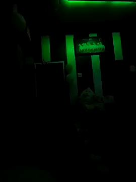 rk46 webcam