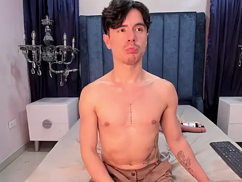 BryCams3 webcam