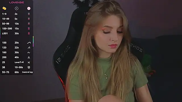 Saillise webcam