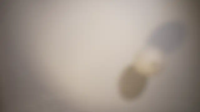 HeyBananas webcam