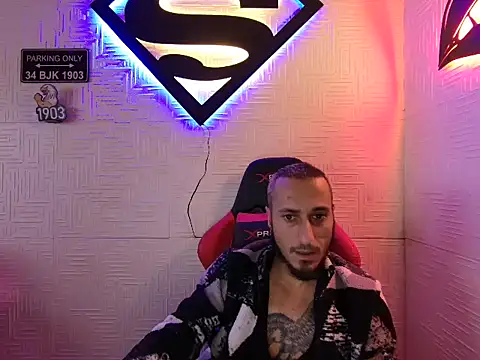 RavaArph webcam