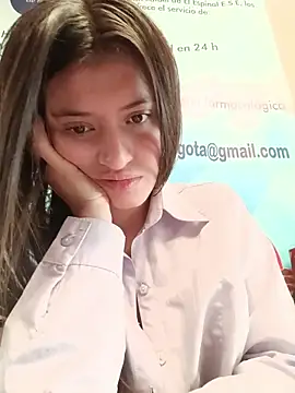 SALOME-28_ webcam
