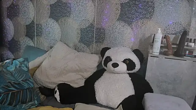 RinDragon webcam