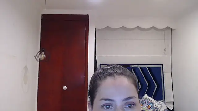 dayanhank webcam
