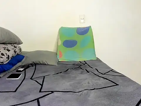 Master_Leonardo webcam
