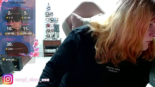 CuteUsagi webcam