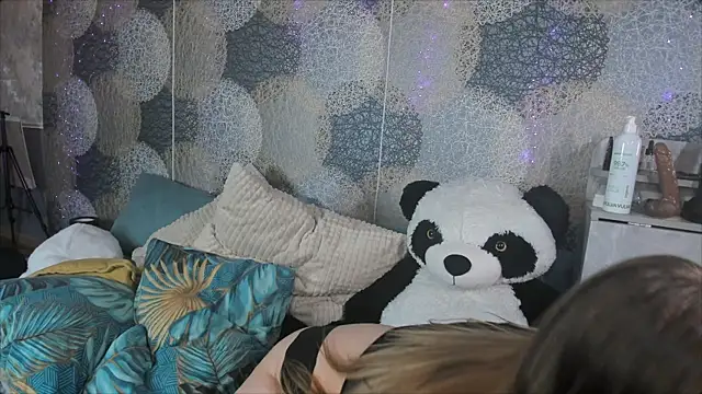 RinDragon webcam